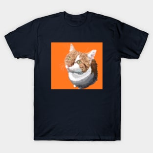 Ginger T-Shirt